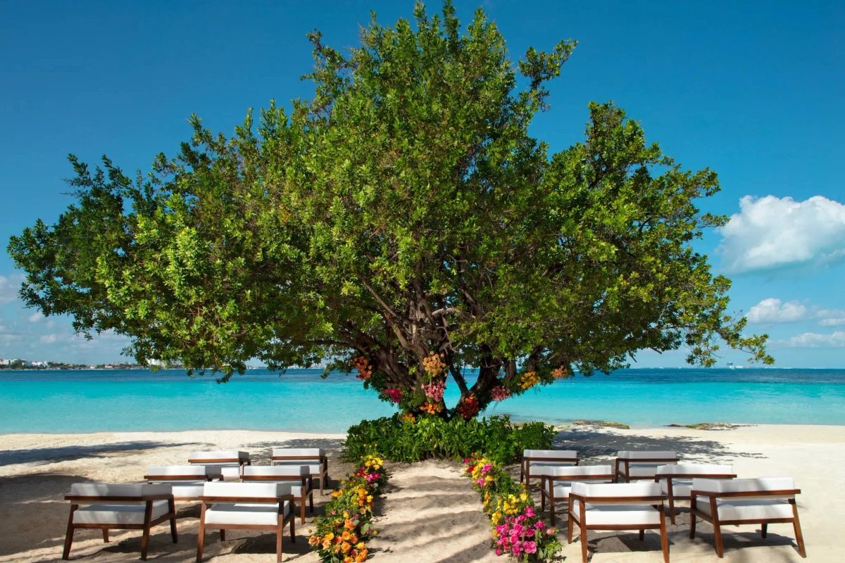Beach wedding ceremony beneath a tree at a Hyatt Inclusive Collection resort