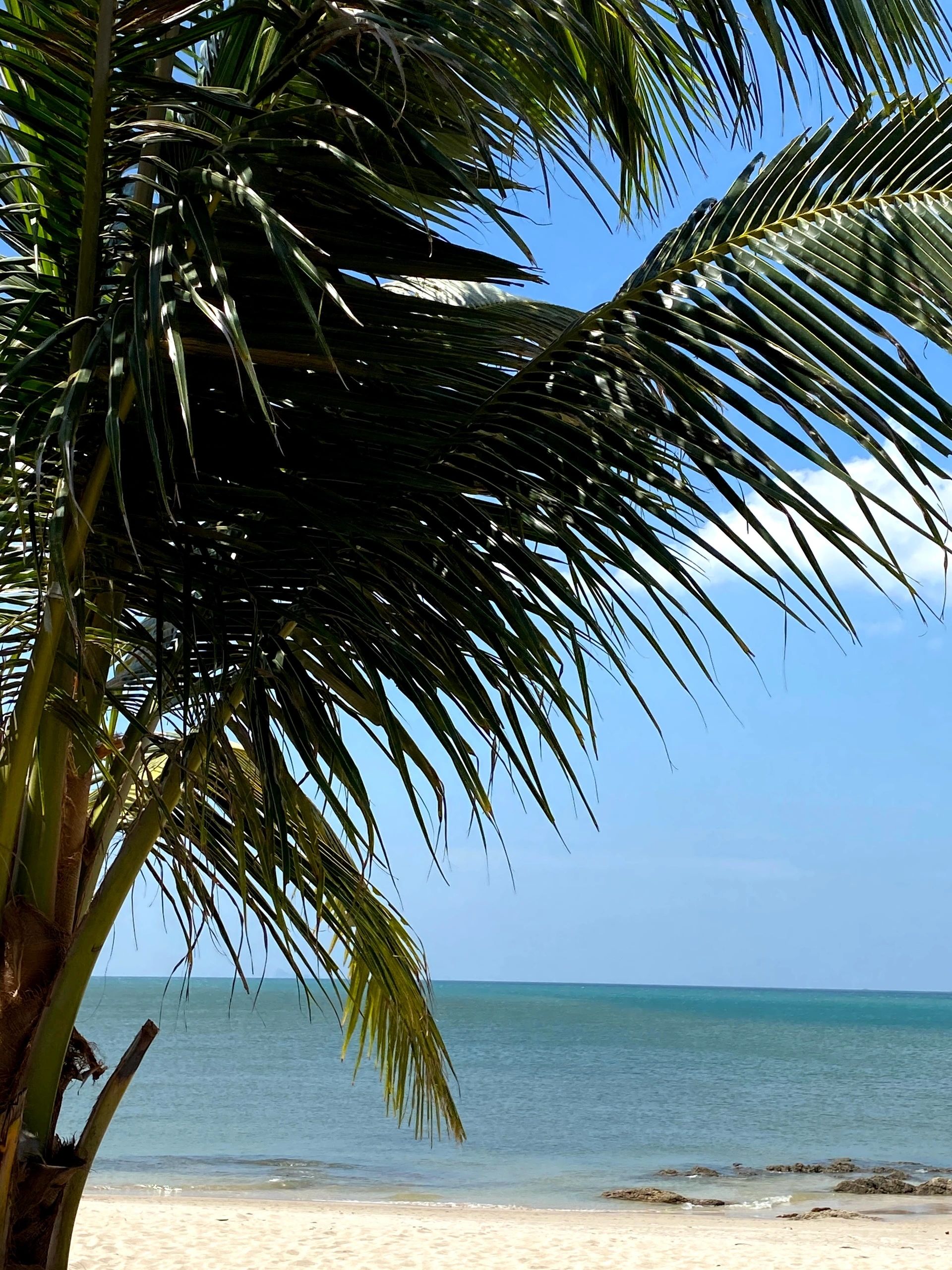 Koh Lanta Thailand Photo Credit: Tina Shank - Koh Lanta 2020