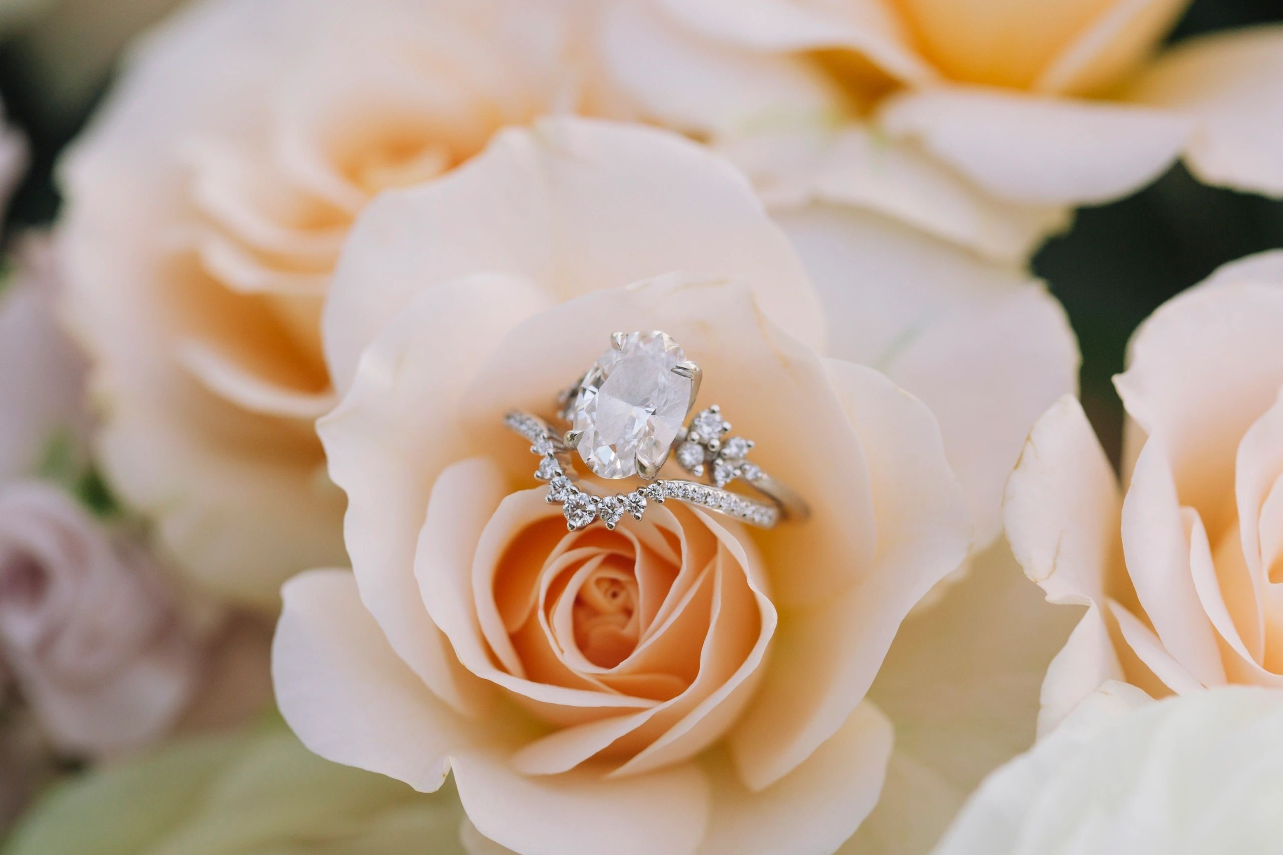 Wedding Rings in flowers from a destination wedding in Puerto Vallarta Mexcio