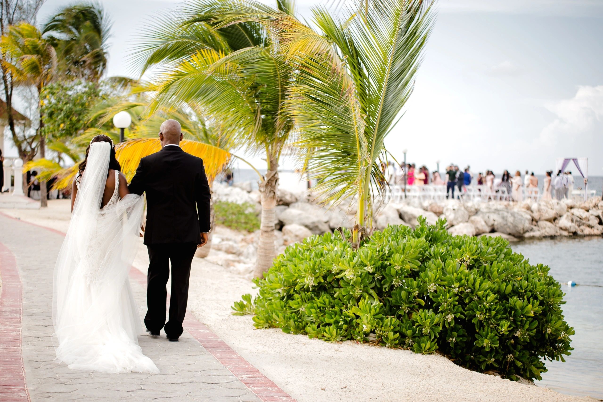 Wedding couple walking through a palm-lined garden