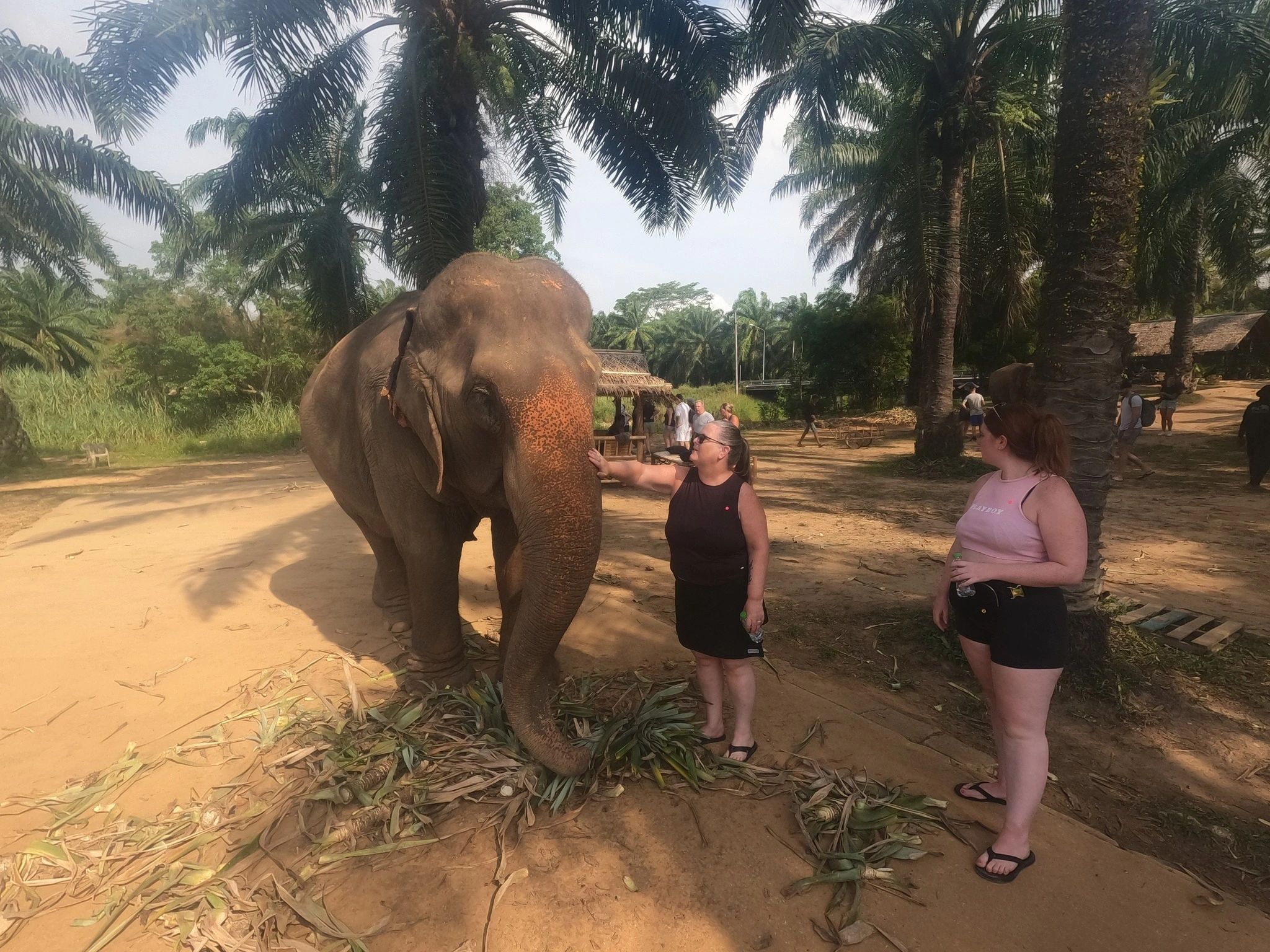 Krabi Elephant Sanctuary Thailand - Tina & Jayna 2024 visit Photo Credit: Jayson Shank
